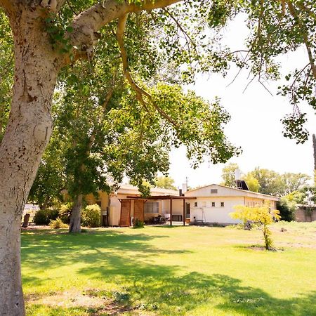 Aliyah Return Center Bed and Breakfast Degania Bet Zewnętrze zdjęcie