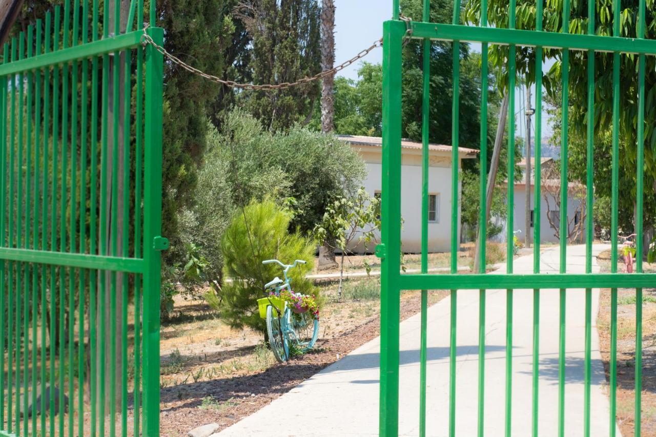 Aliyah Return Center Bed and Breakfast Degania Bet Zewnętrze zdjęcie